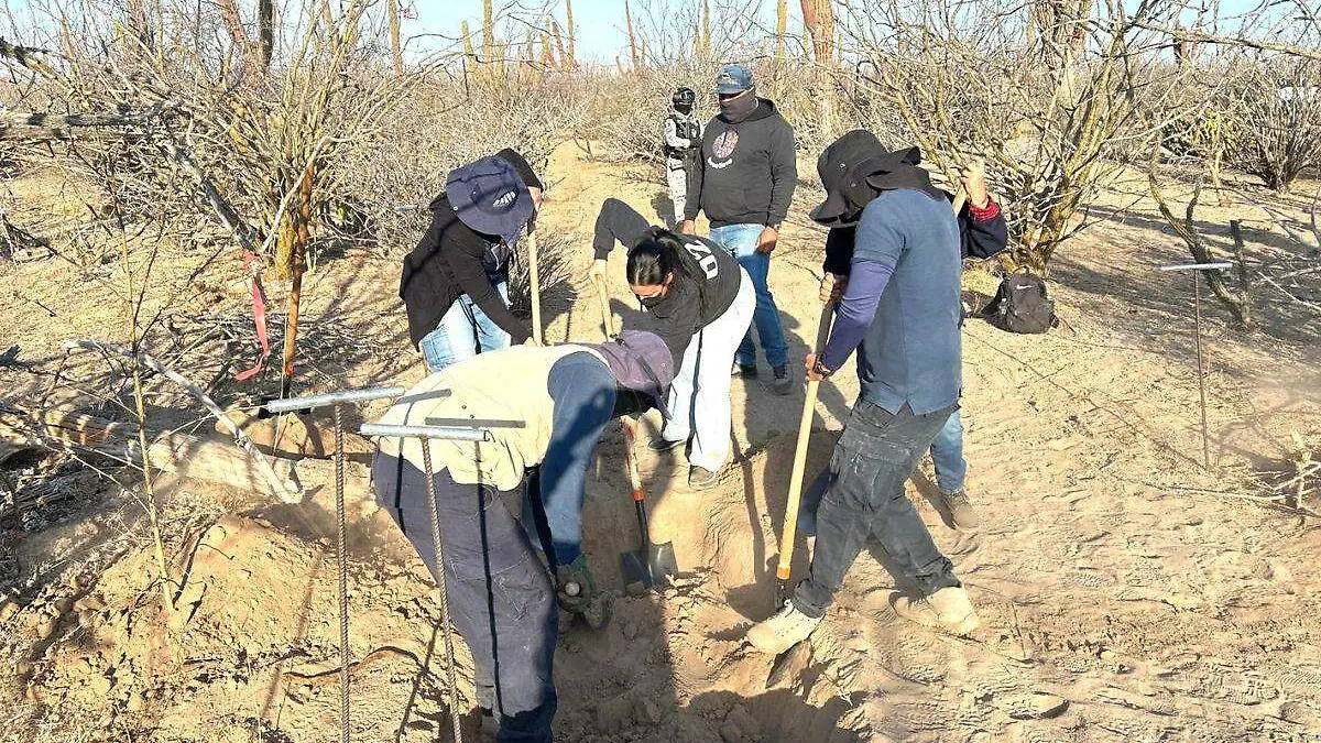 Encuentran ocho fosas clandestinas en La Paz